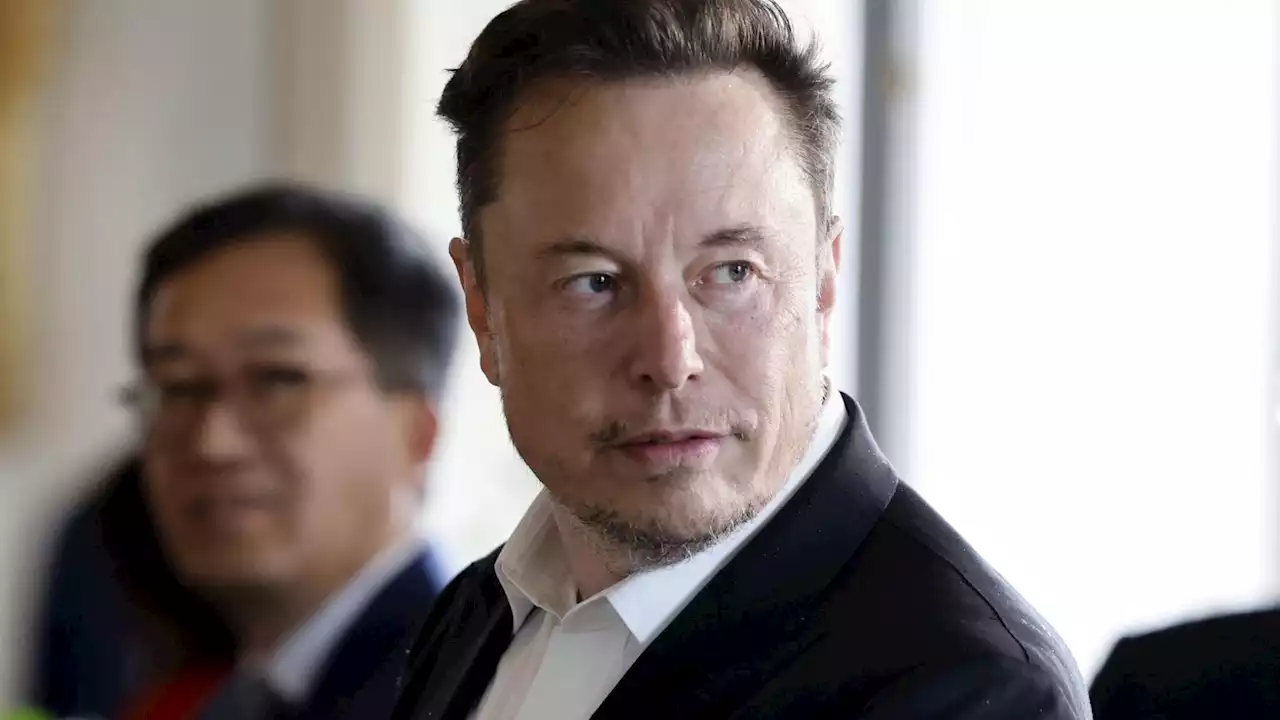 Twitter modifica le tariffe per scaricare i suoi dati. L'uccellino non è libero, come prometteva Musk (di A. Modica)