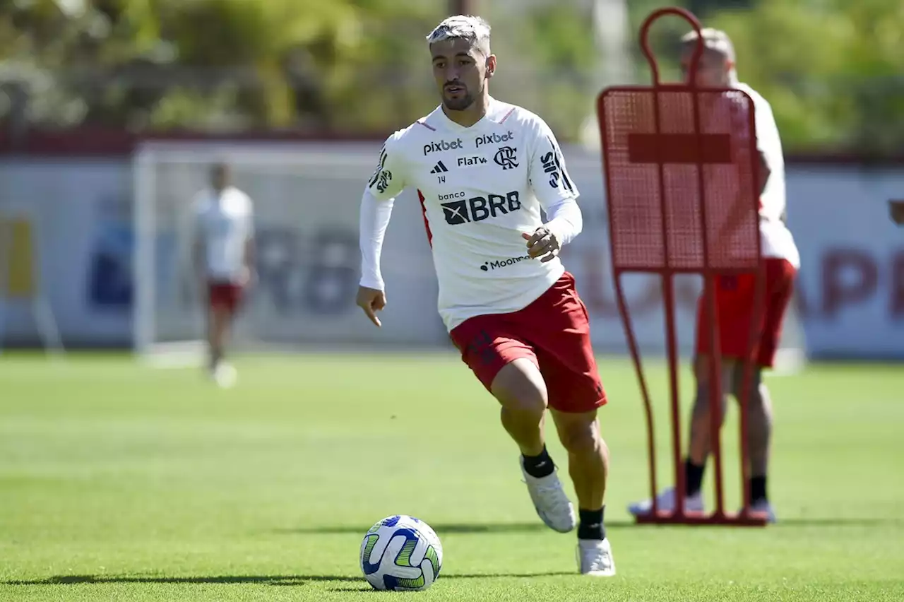 Flamengo chega para duelo com o Palmeiras repetindo campanha de 2019