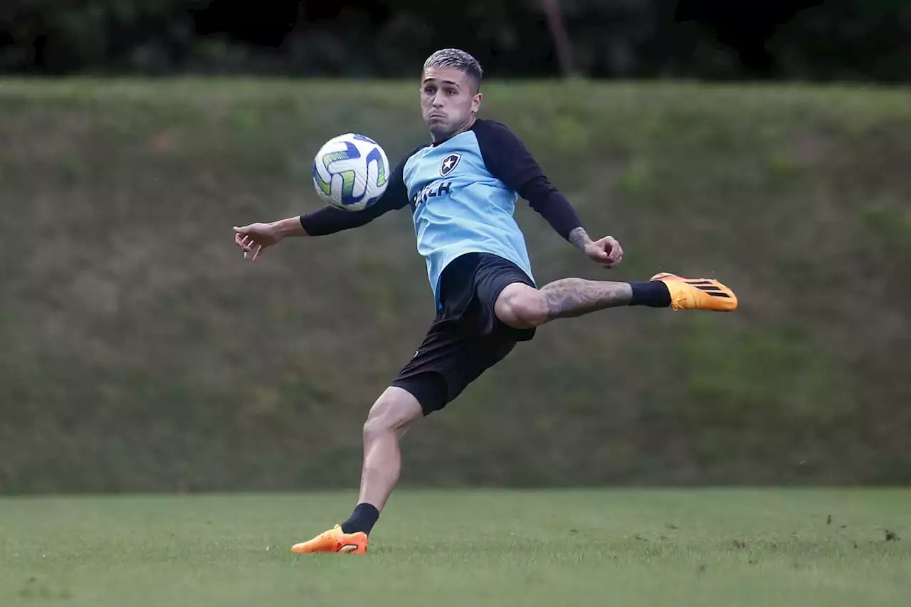 Botafogo: Diego Hernández é regularizado no BID da CBF e estará à disposição contra o Grêmio