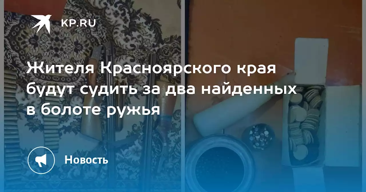 Жителя Красноярского края будут судить за два найденных в болоте ружья