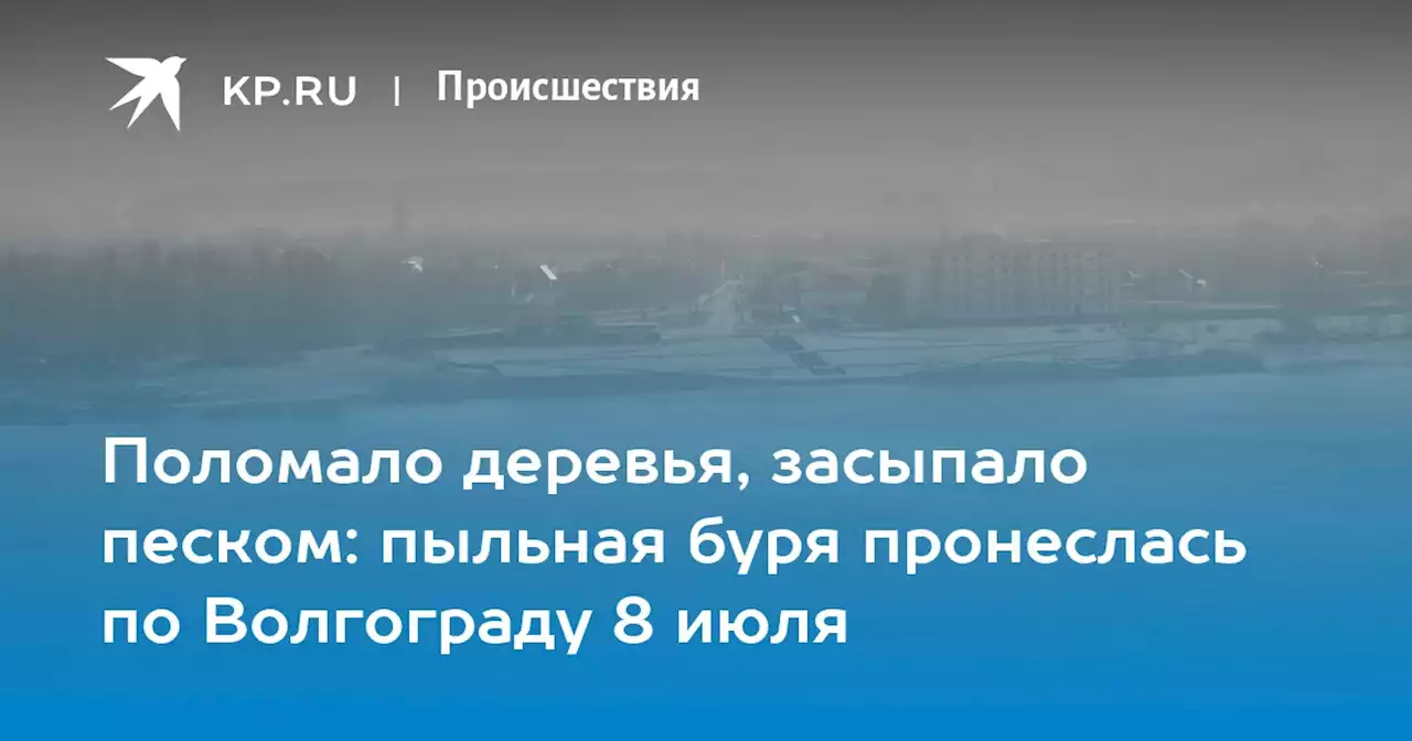 Поломало деревья, засыпало песком: пыльная буря пронеслась по Волгограду 8 июля