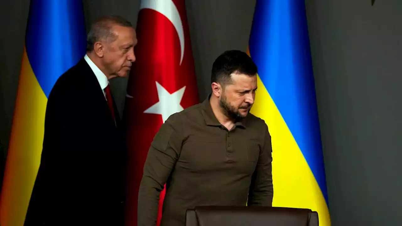 Erdogan will Ukraine in der NATO haben