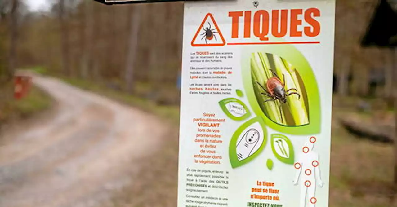 Qu'est-ce que l'encéphalite à tiques, maladie qui commence à se propager en France ?