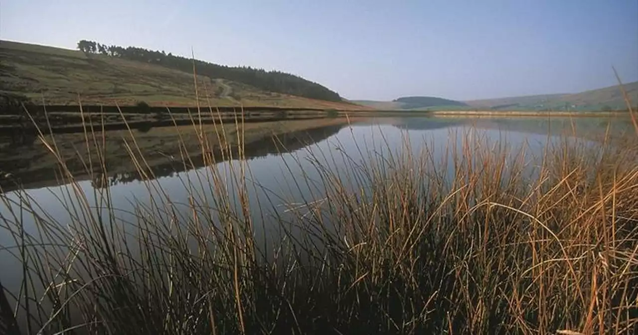 Lancs reservoir walk in the shadow of Pendle Hill complete with wildlife and pub