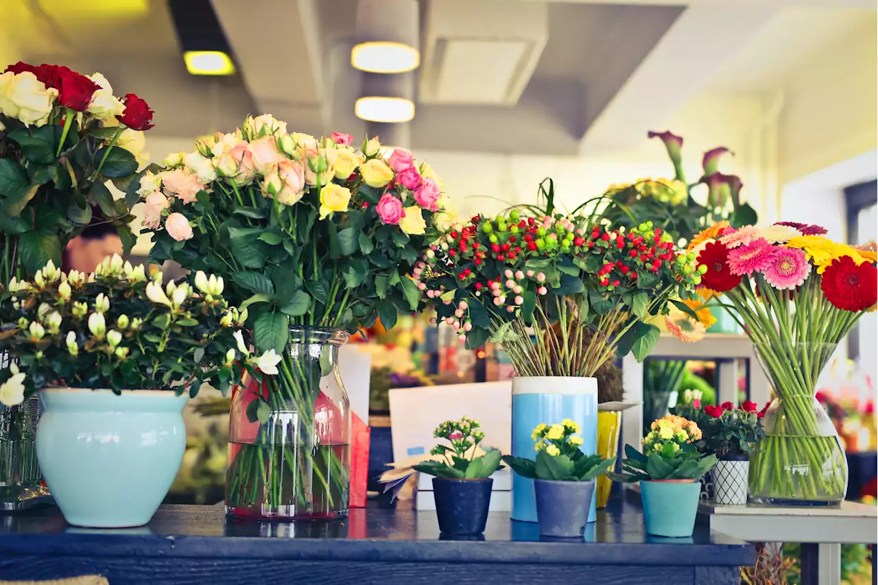 Preserving beauty: Ten tips for extending the life of cut flowers