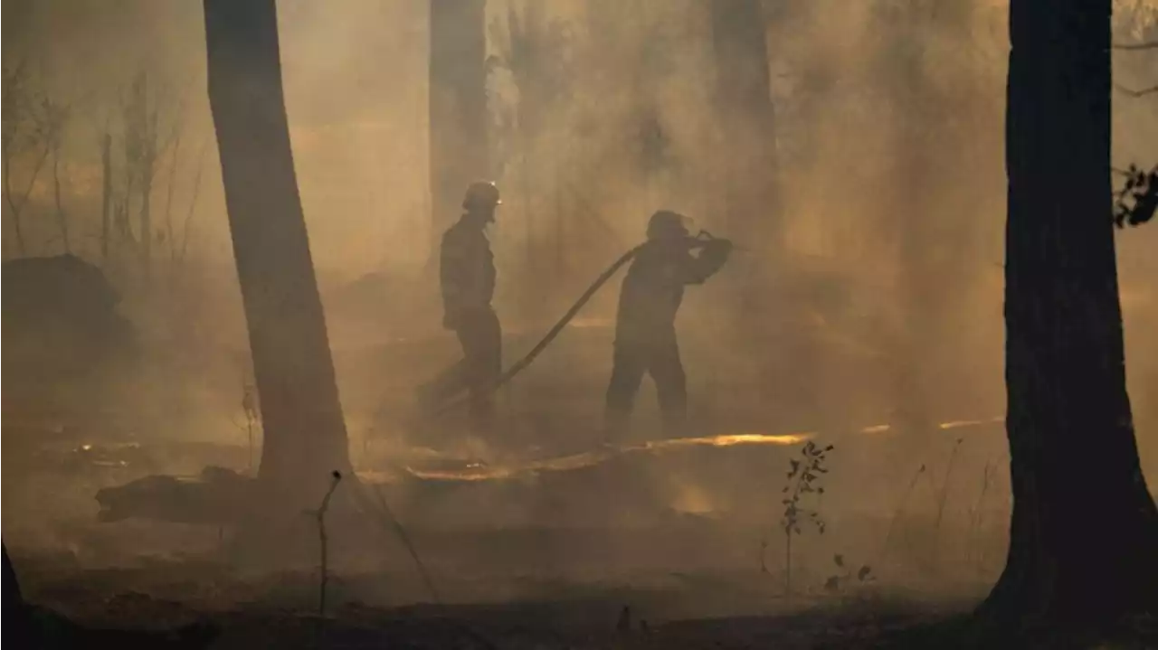 Waldbrand-Experte: Feuerwehren kommt geringer Wind zugute