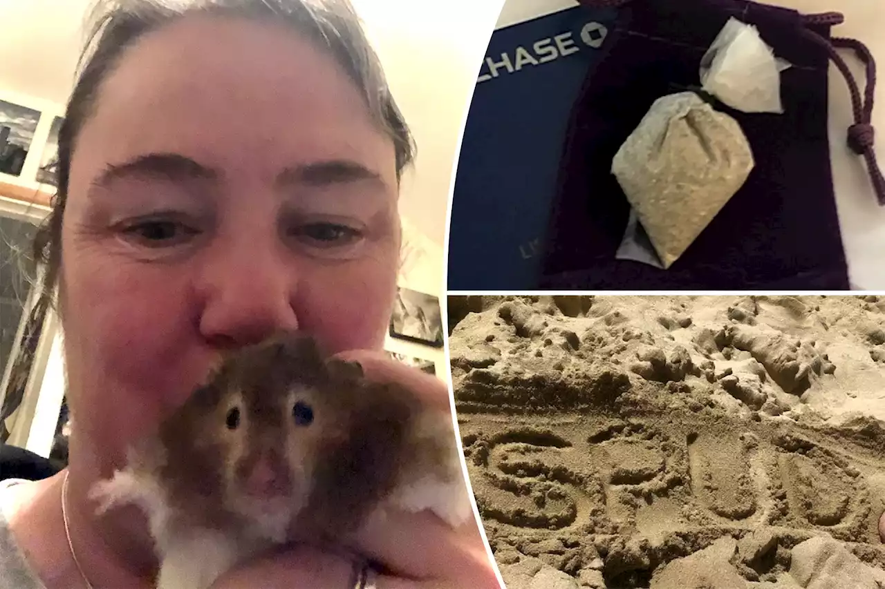 My dead hamster loved to travel — so I’m taking his ashes around Europe