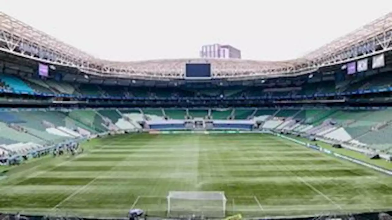 Palmeiras e Flamengo disputam confronto direto pelo Brasileirão