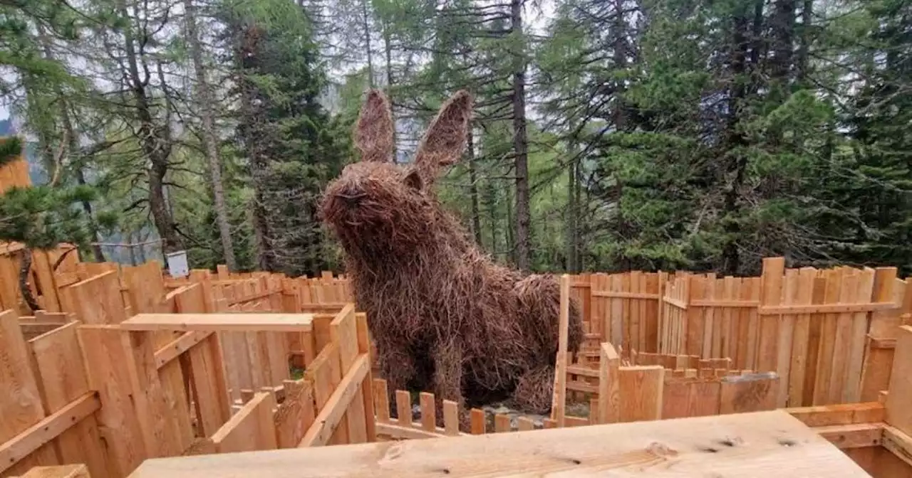 Dopo il boom di turisti per il drago del Lagorai, arriva il coniglio gigante Buffy in val di Fassa