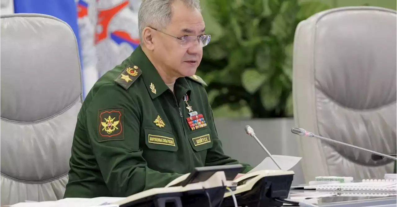 Russian defence minister Shoigu shown inspecting troops