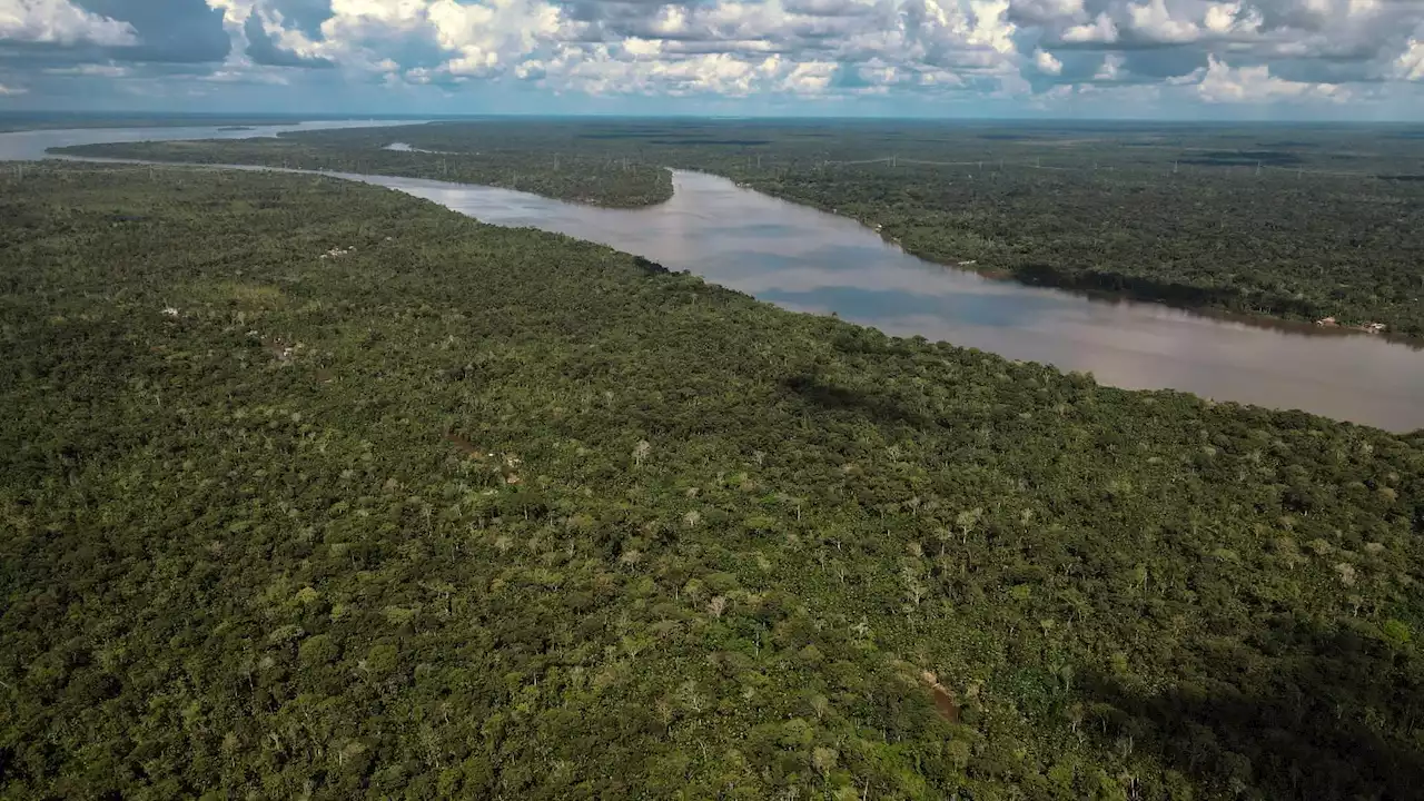 El cambio climático, las mayor amenazas de la selva amazónica