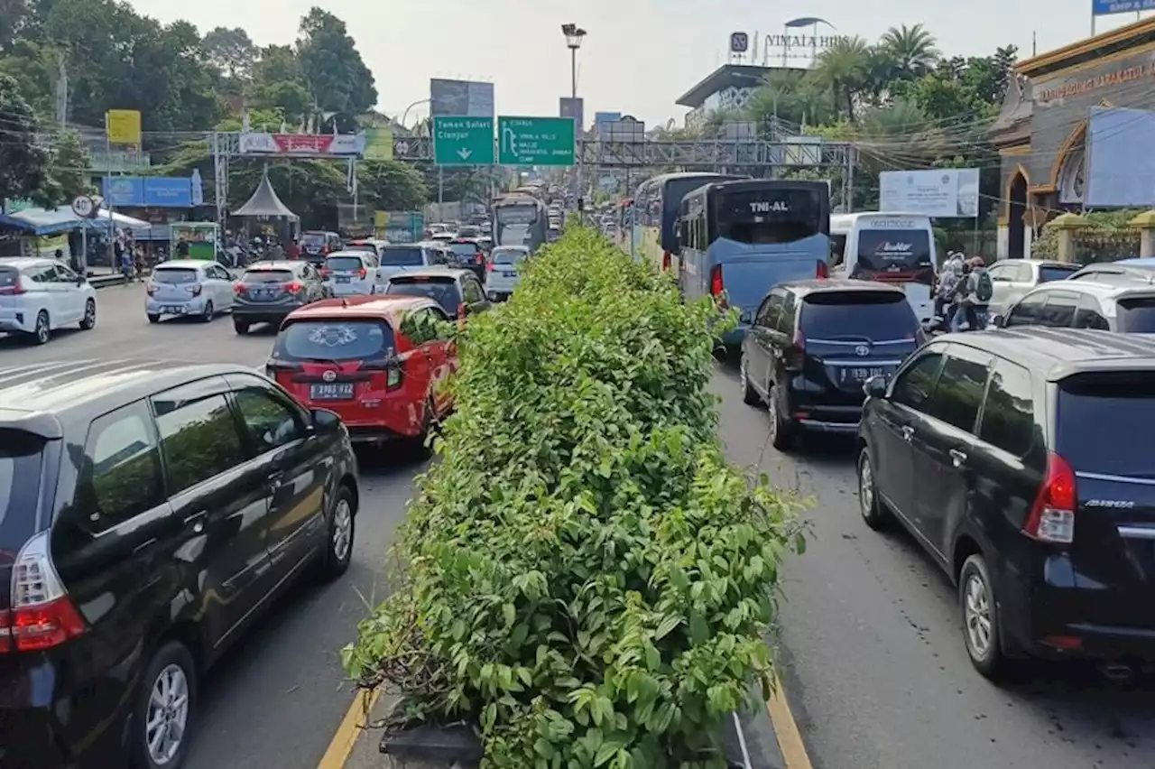 Jalur Puncak Padat, Polisi Terapkan One Way dari Arah Jakarta