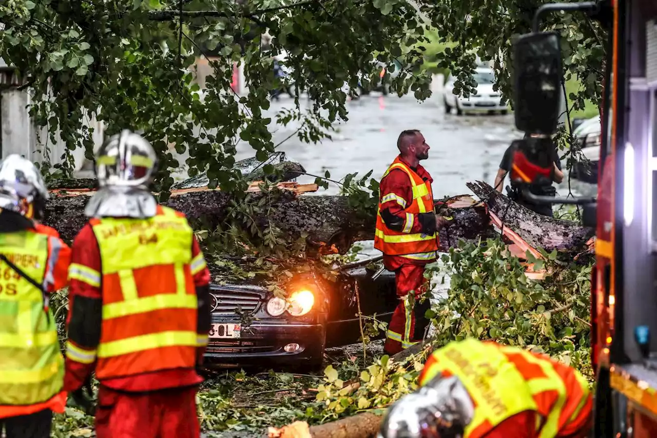 Orages violents dans le Sud-Ouest : encore 26 000 foyers sans électricité ce samedi