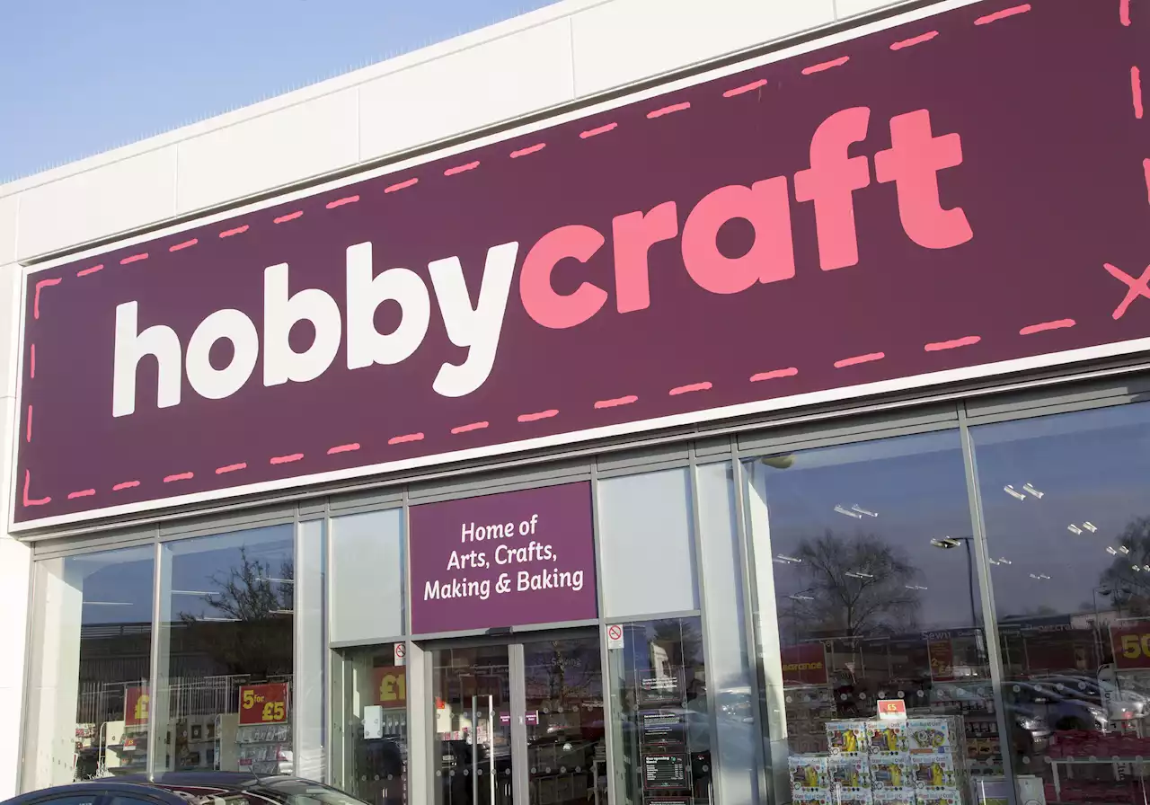 Woman shares hack to get rid of flies - all you need is a visit to Hobbycraft