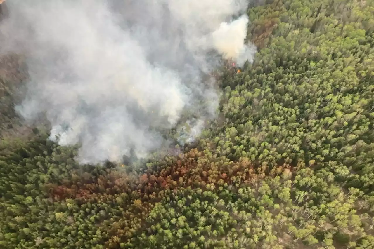 Spallumcheen, B.C., orders evacuation for 18 properties as lightning triggers fire