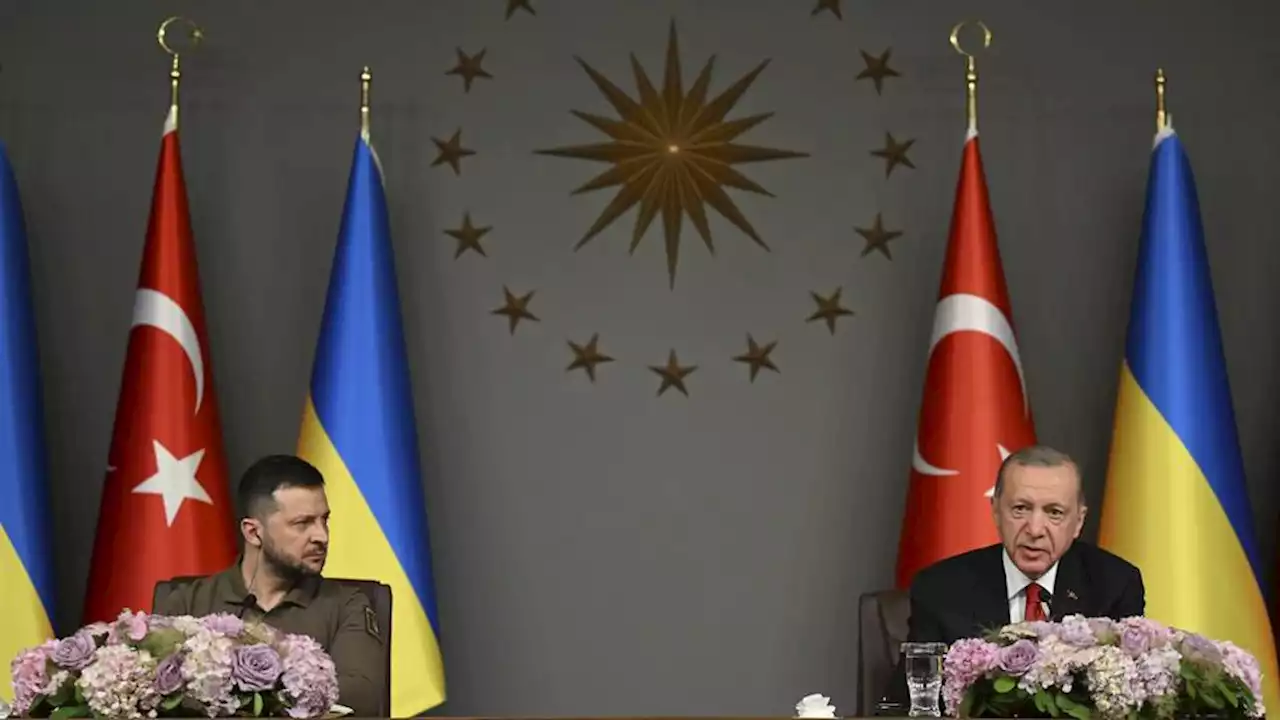 Erdogan says Ukraine deserves NATO seat; Zelenskyy hails Türkiye's support