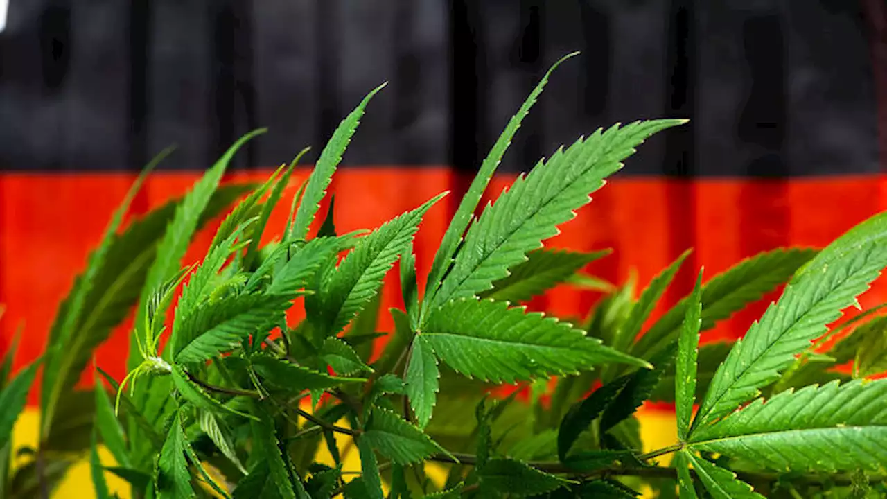 Kebenaran guna ganja bantu kerajaan Jerman jimat lebih 1 bilion euro