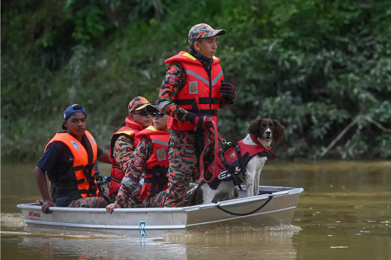 Peka kehadiran kepala air, bukan tahu seronok saja