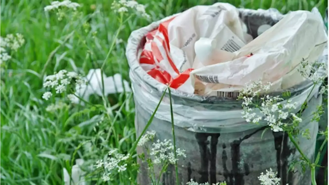 Kisah Mahasiswi di Sulbar Buang Bayi ke Tempat Sampah