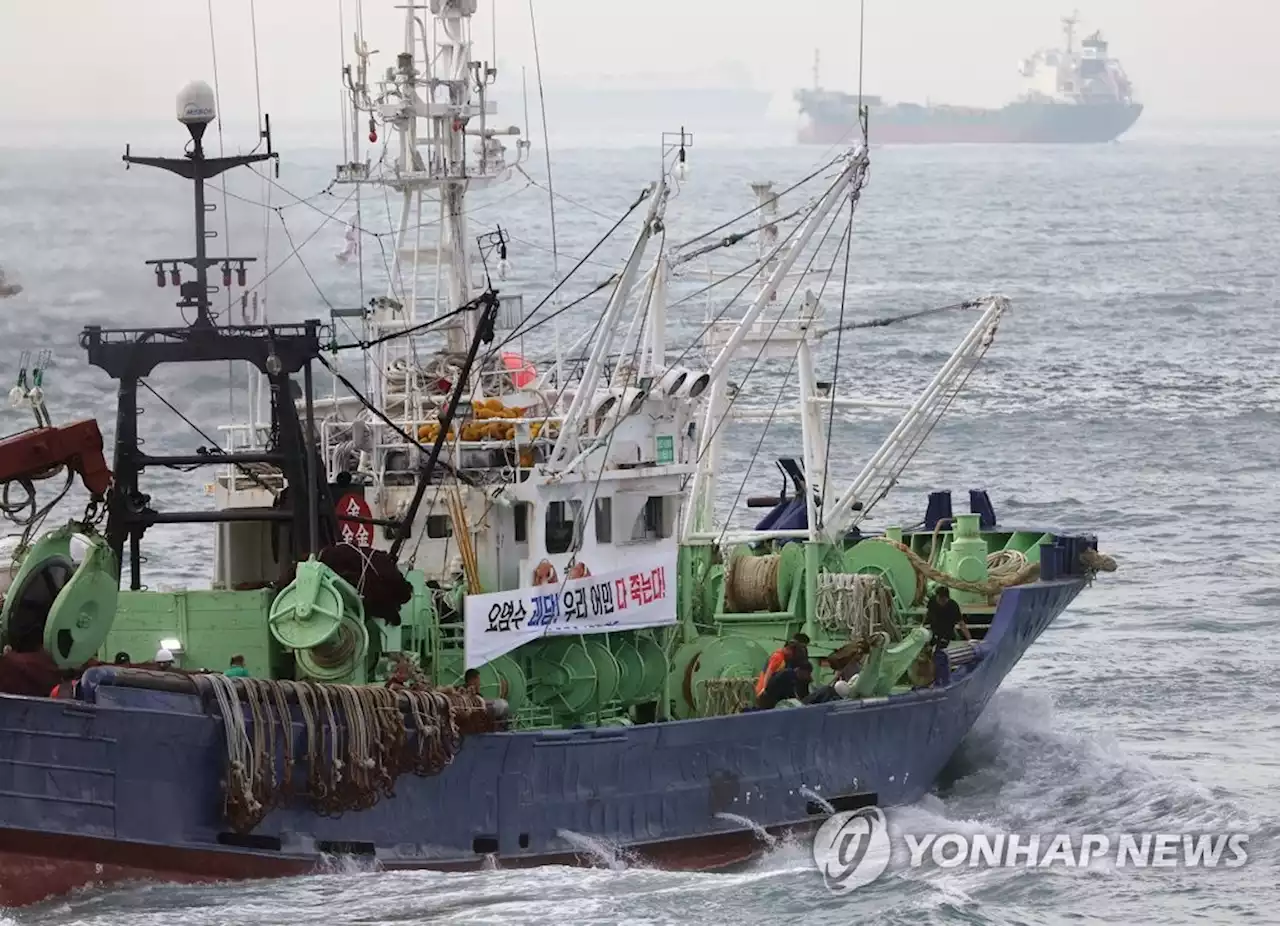 [현장in] '국내 수산물은 안전'…소비촉진에 소매 걷어붙인 수산업계 | 연합뉴스