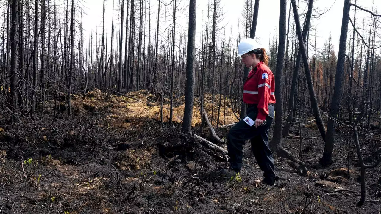 Kanada: Hunderte Waldbrände außer Kontrolle