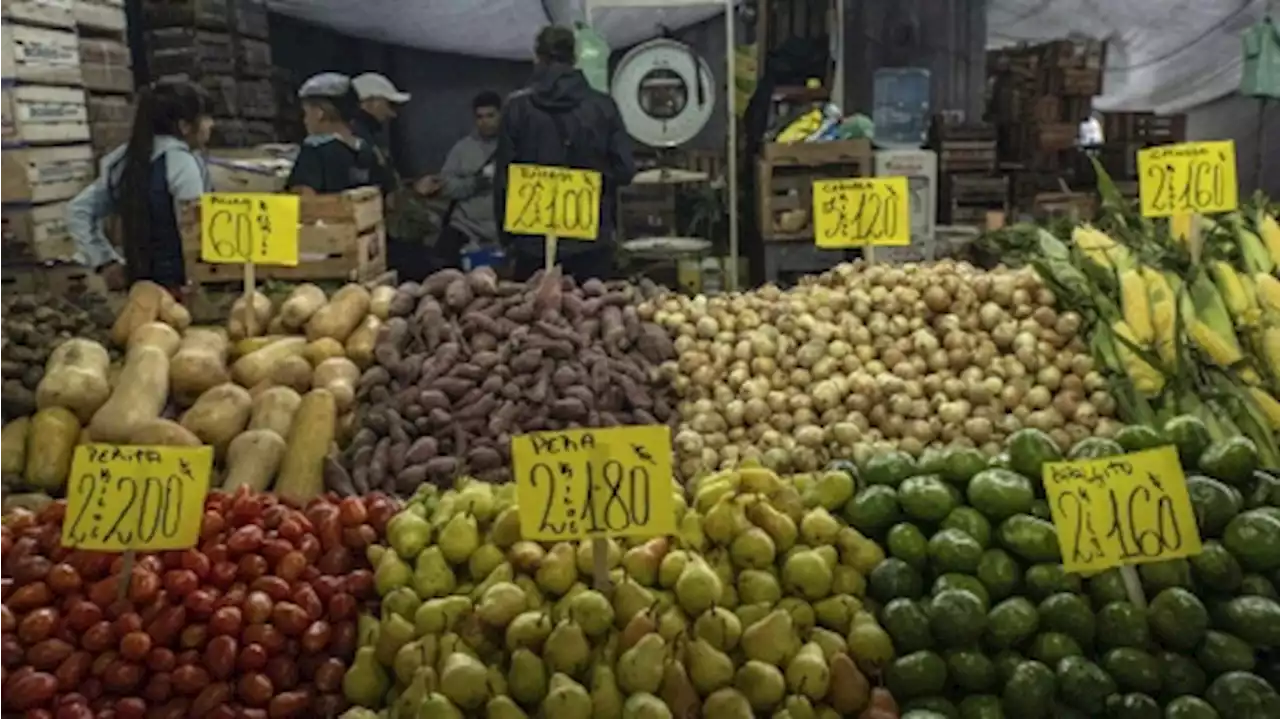 Siete de cada 10 argentinos compran alimentos de origen vegetal y opta por ingredientes naturales