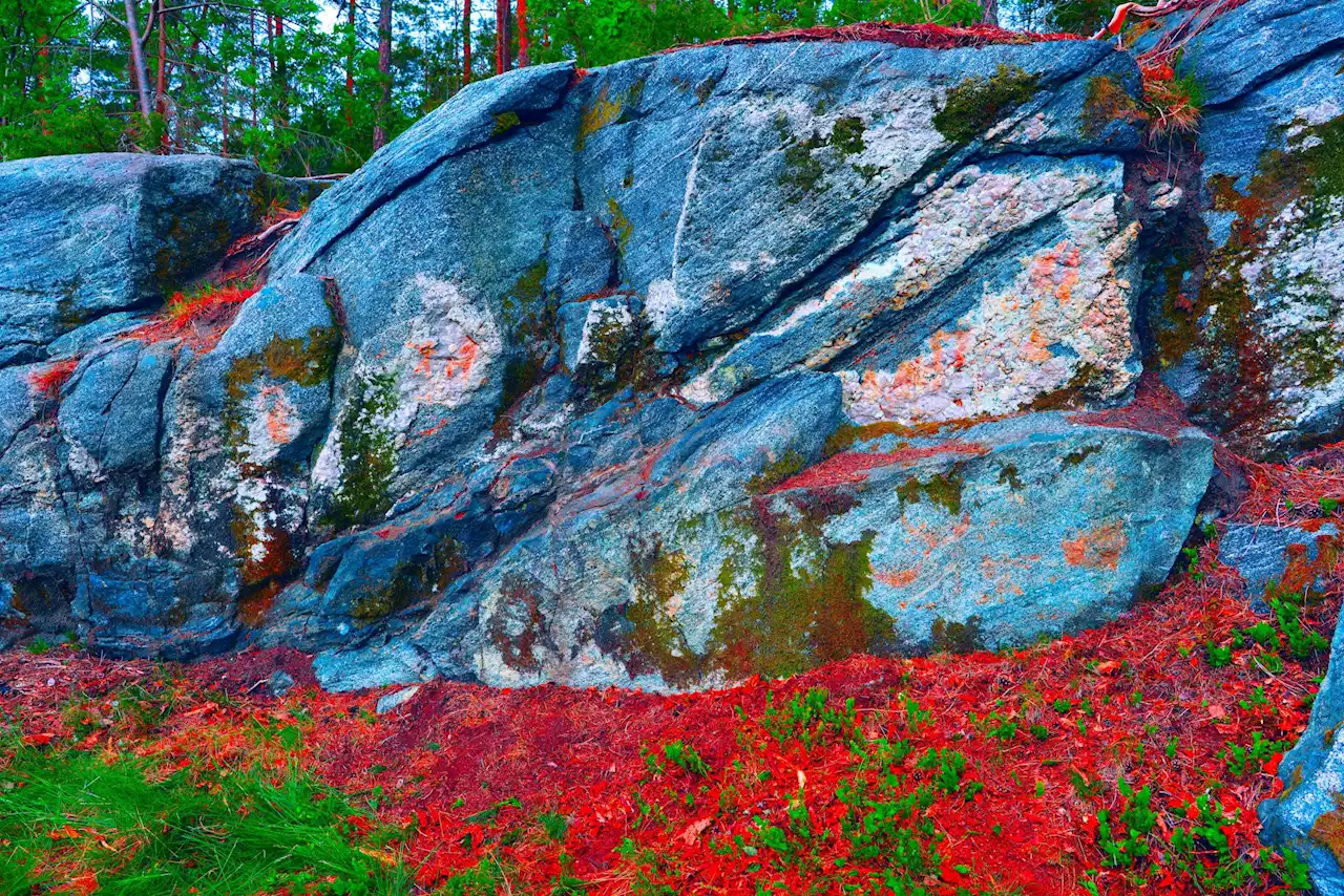 A Norwegian Dad Hiking With His Family Discovered a Rock Face Covered With Bronze Age Paintings | Artnet News