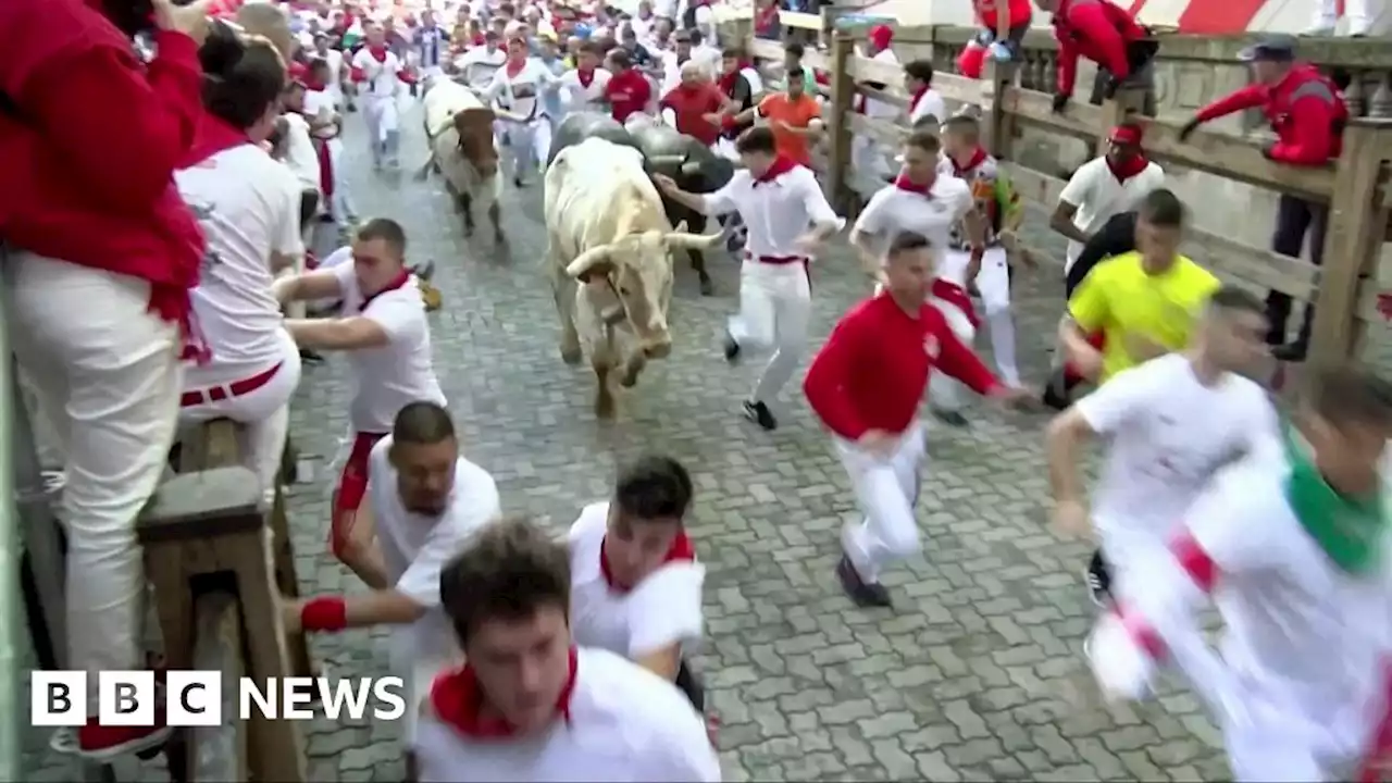 Four injured in Pamplona bull run