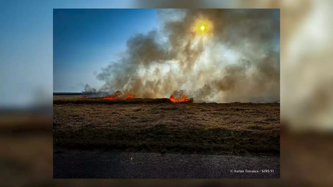 Essonne: 40 hectares de récoltes agricoles touchés par un incendie à Blandy