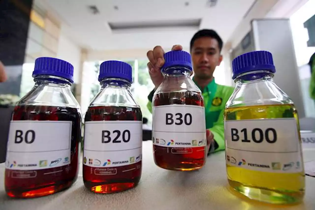 Indef Nilai Skema Insentif Biodiesel Perlu Ditinjau Ulang