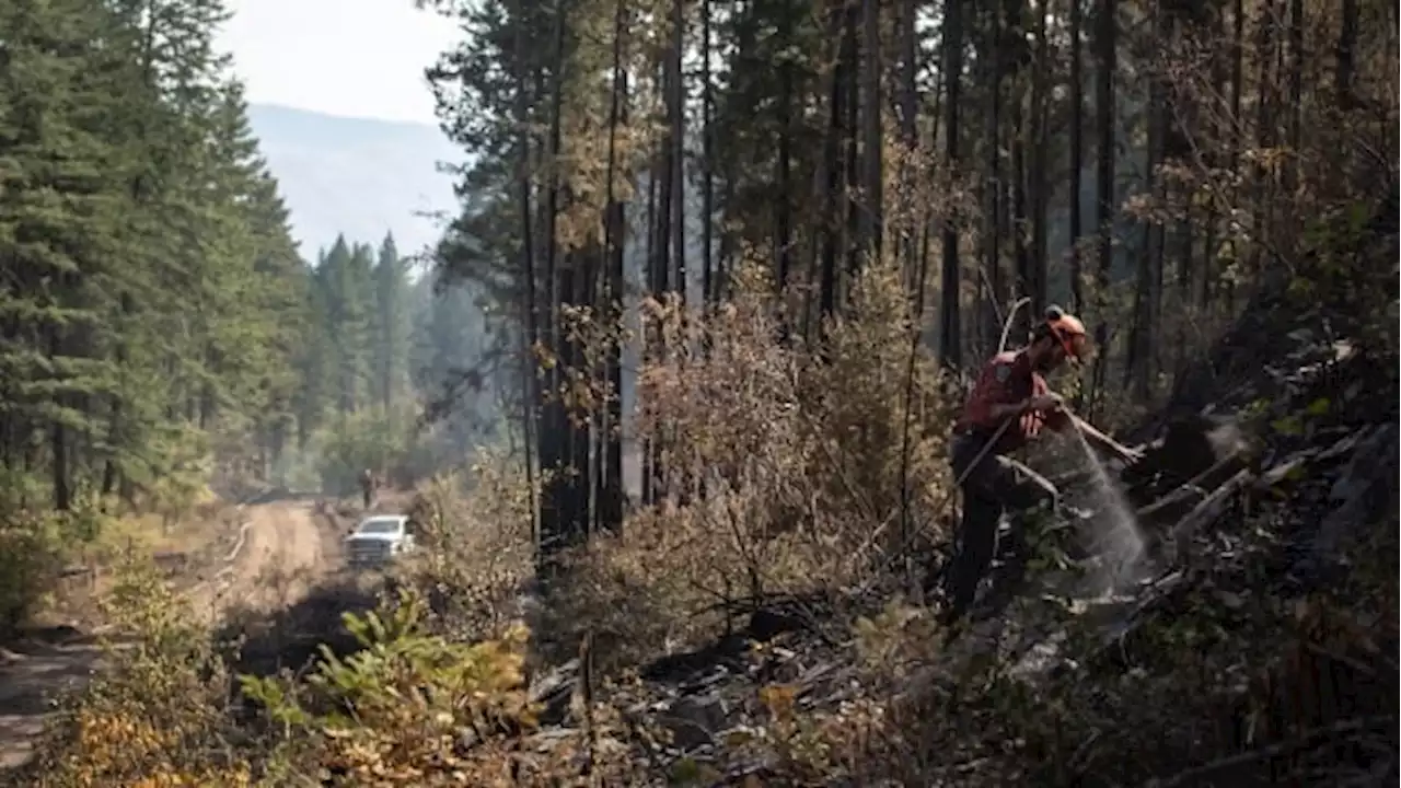 Firefighters across Canada focusing more on mental health as wildfire seasons worsen | CBC News