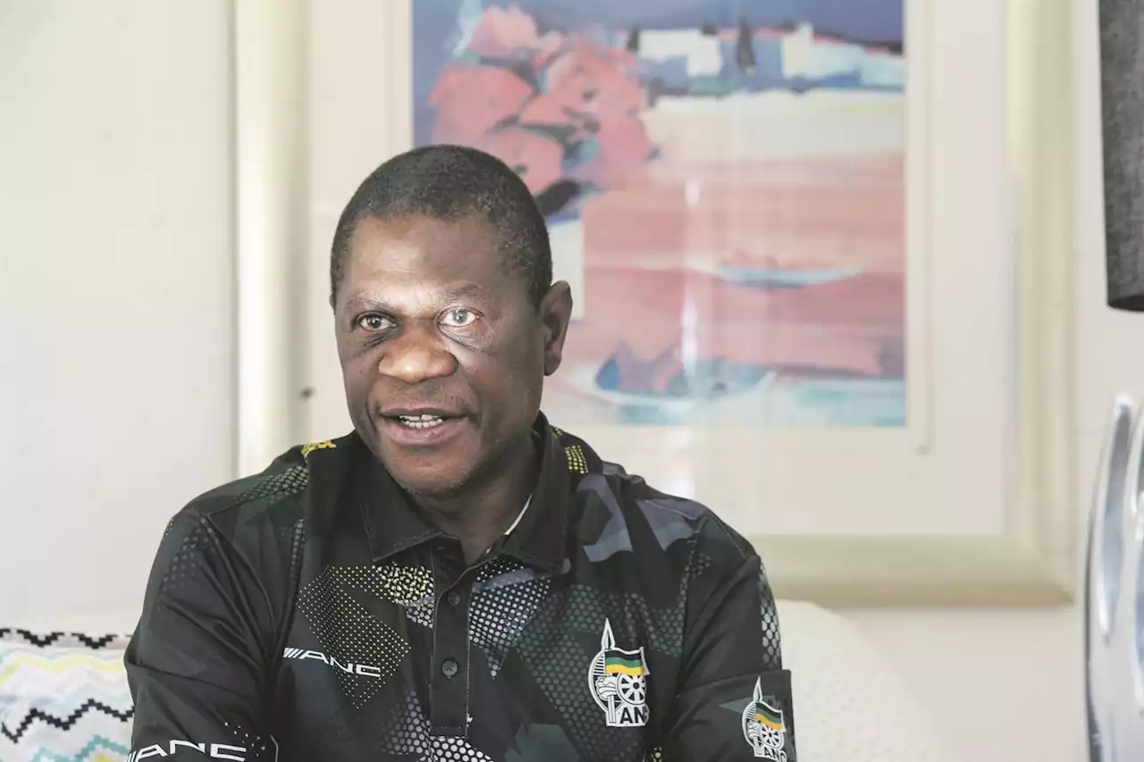 Paul Mashatile: There is a plot to oust me by next month | City Press