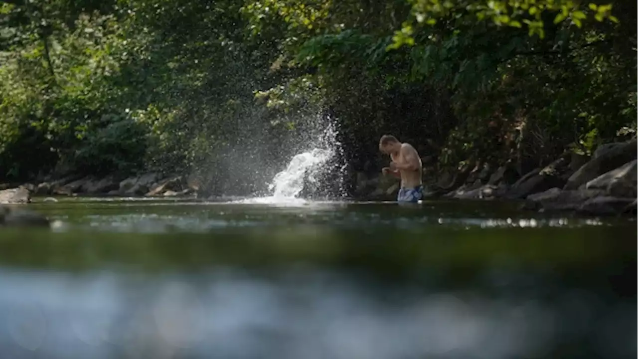 Environment Canada issues heat warnings for B.C., parts of Alberta and the North