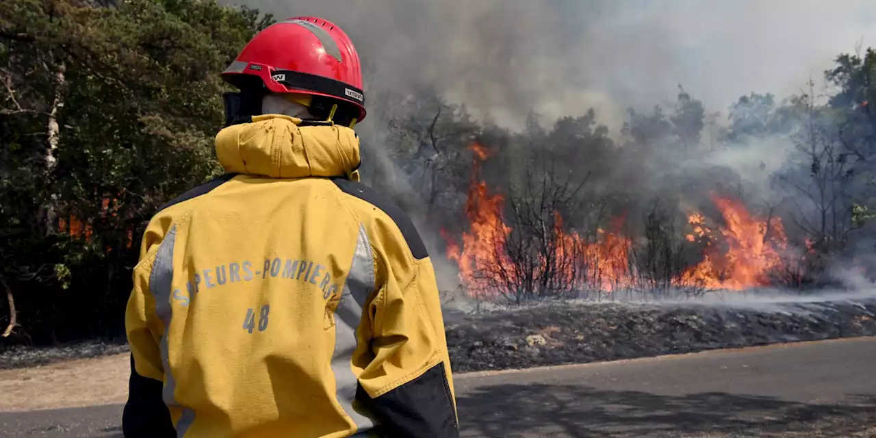 Feux de forêt : les pompiers rappellent les gestes «à éviter» qui représentent un «danger important»