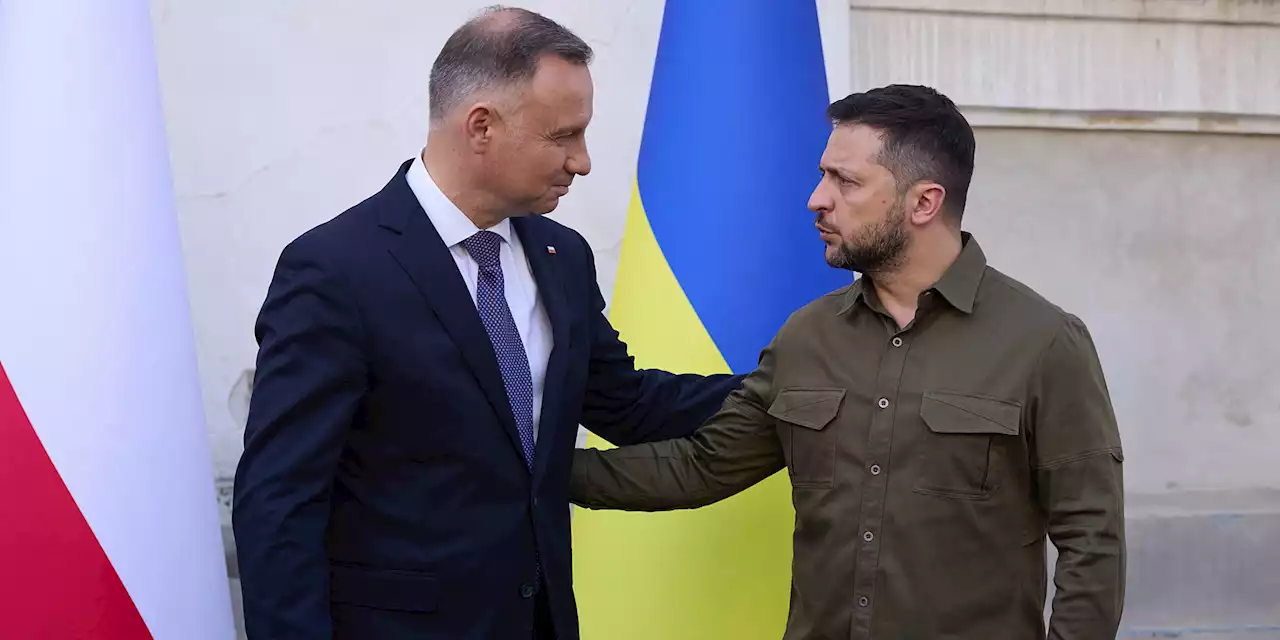 «Plus forts ensemble» : le président polonais en Ukraine avant le sommet de l'Otan