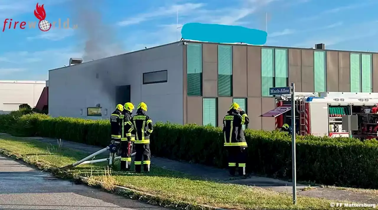 Bgld: Brandmeldeanlage meldet Brand in einem Industriebetrieb