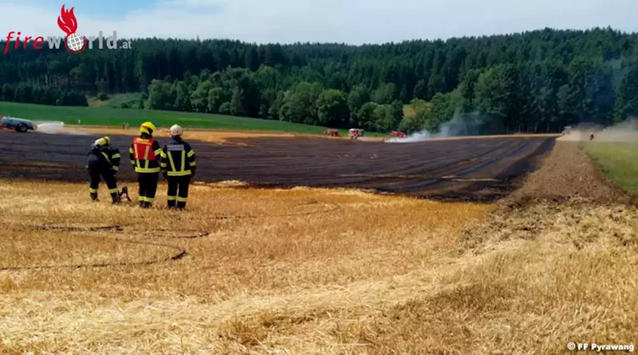 Oö: Drei Feldbrände im Bezirk Schärding an einem Tag