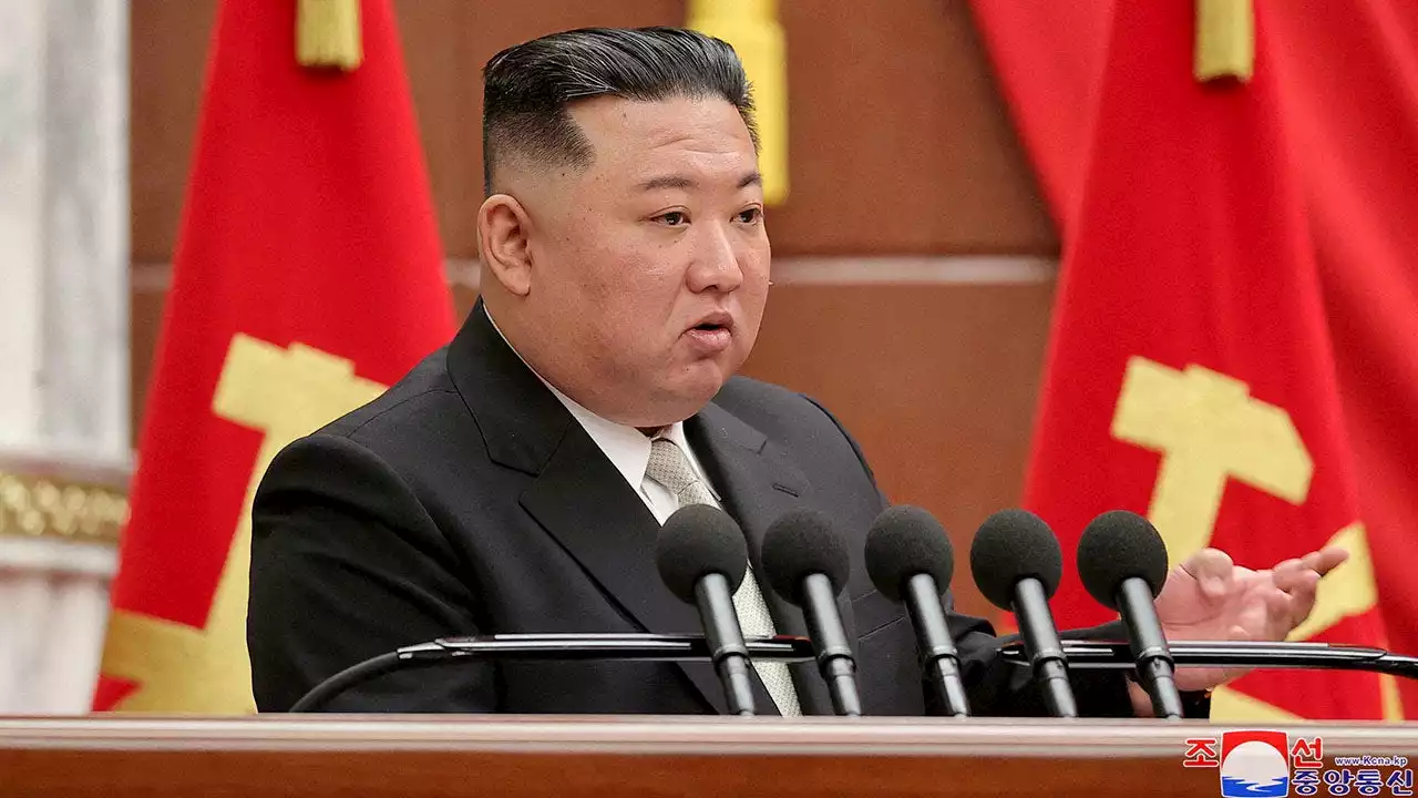 Hard-living Kim Jong Un earns unflattering nickname over massive appetite for European booze, food: expert