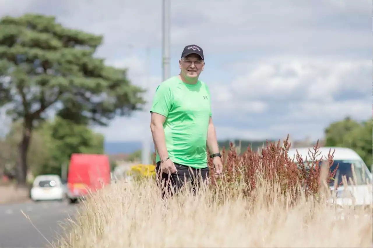 'It's going to cause an accident': Man hits out over tall grass