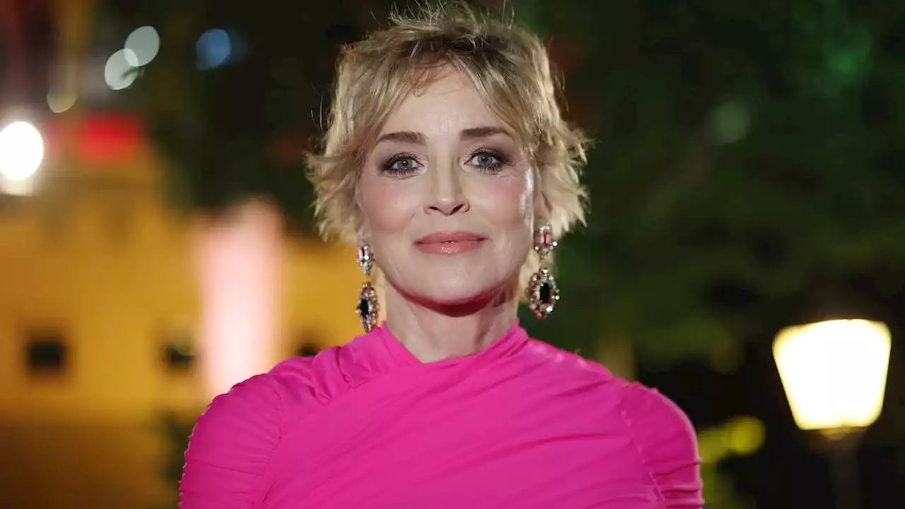 Sharon Stone is a goddess in plunging swimsuit photo during vacation