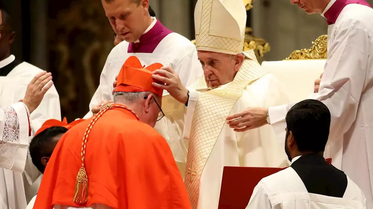 Papa Francesco crea 21 nuovi cardinali: poca Italia, tanto mondo