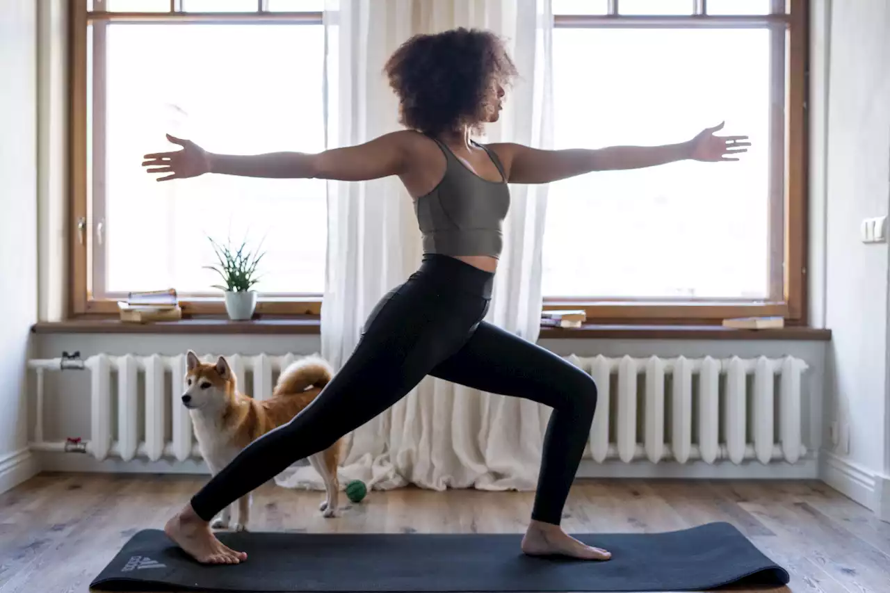 A beginner's guide to yoga styles