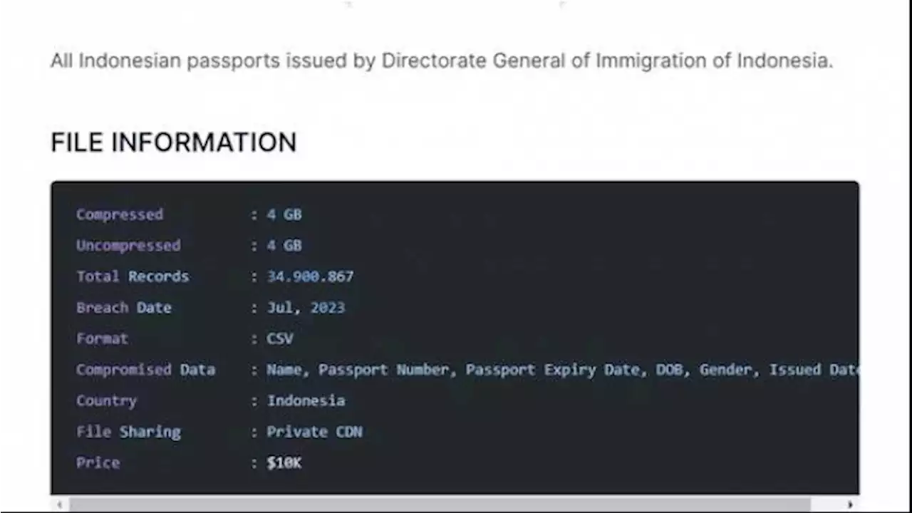 Dirjen Imigrasi Bantah 34 Juta Data Paspor Bocor: Itu Data Dummy