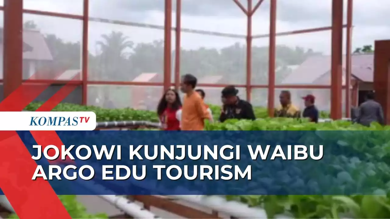 Kunjungi Waibu Agro Edu Tourism, Jokowi Apresiasi Anak Muda Papua yang Kreatif dan Inovatif