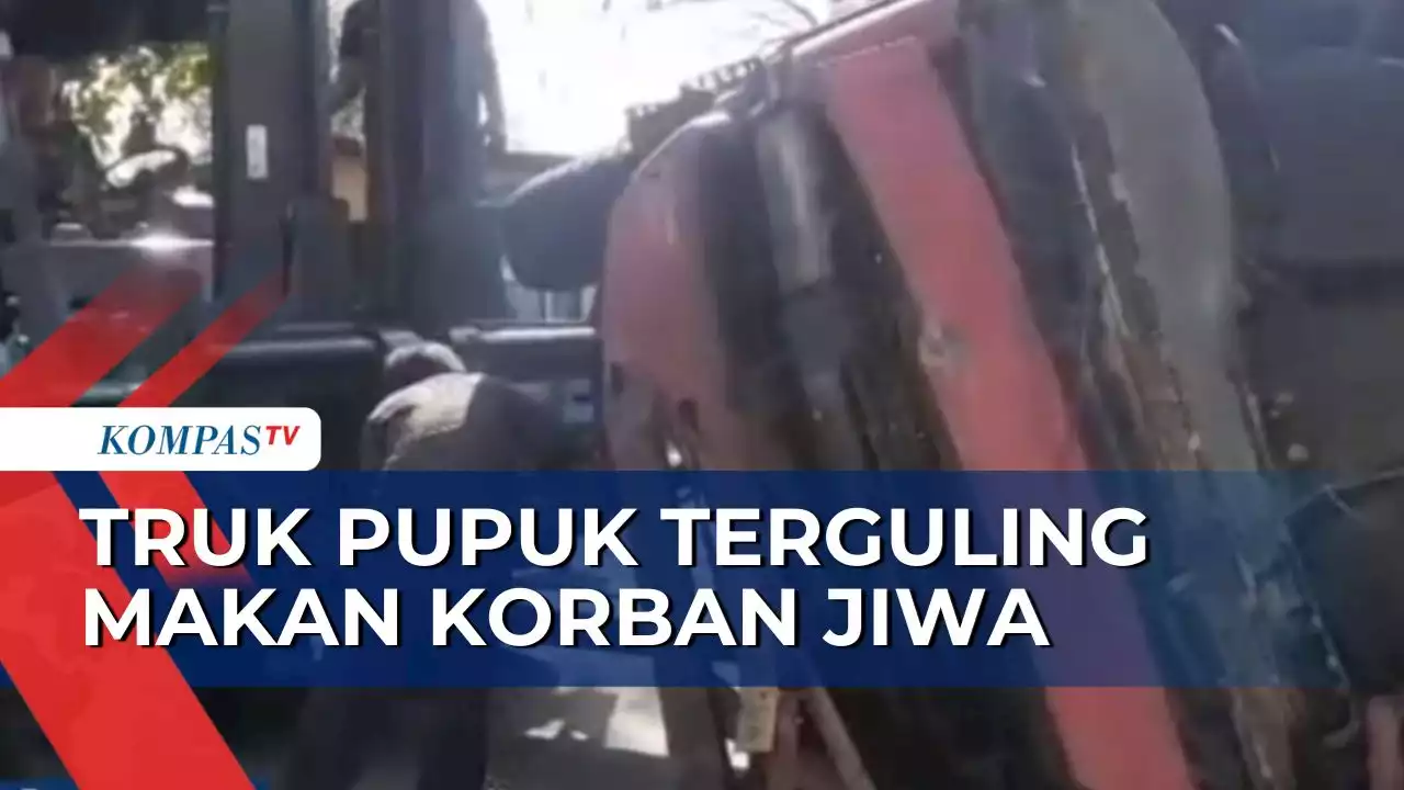 Tertimbun Pupuk Urea dari Truk yang Terguling, 1 Orang Jadi Korban Jiwa!