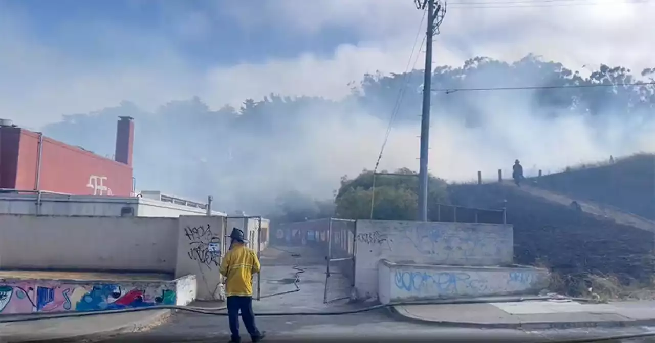 Crews quickly contain 5-acre grass fire in San Francisco McLaren Park