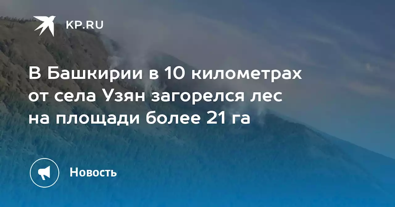 В Башкирии в 10 километрах от села Узян загорелся лес на площади более 21 га