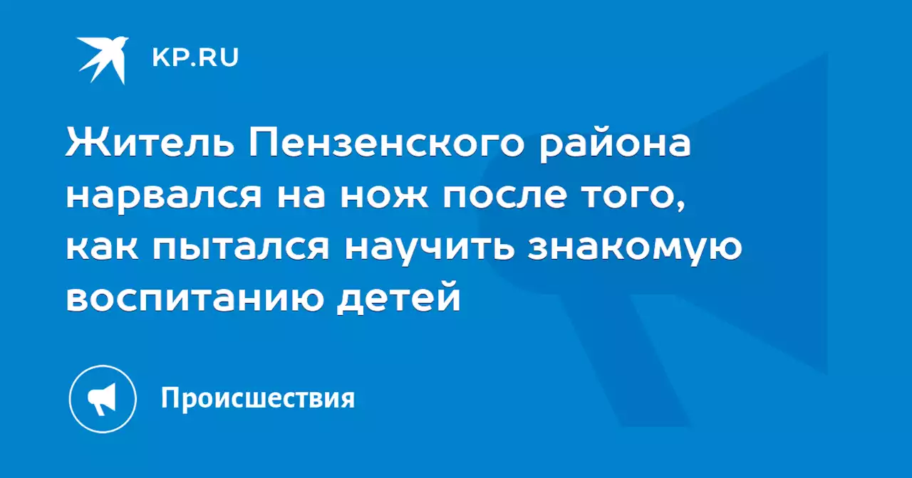 Житель Пензенского района нарвался на нож после того, как пытался научить знакомую воспитанию детей