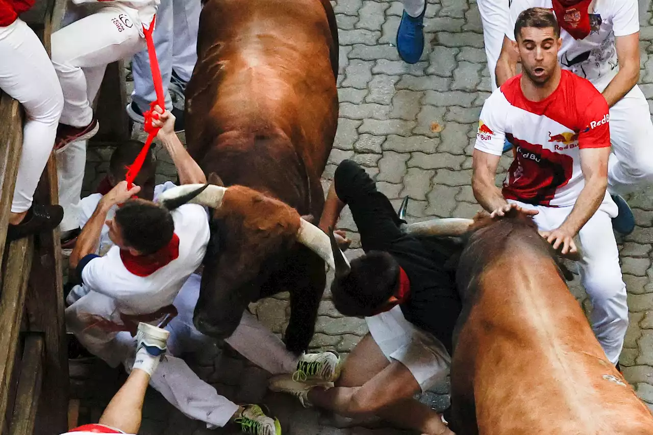 ¿Qué toros corren el 9 de julio en San Fermín 2023? Esta es la ganadería protagonista del tercer encierro