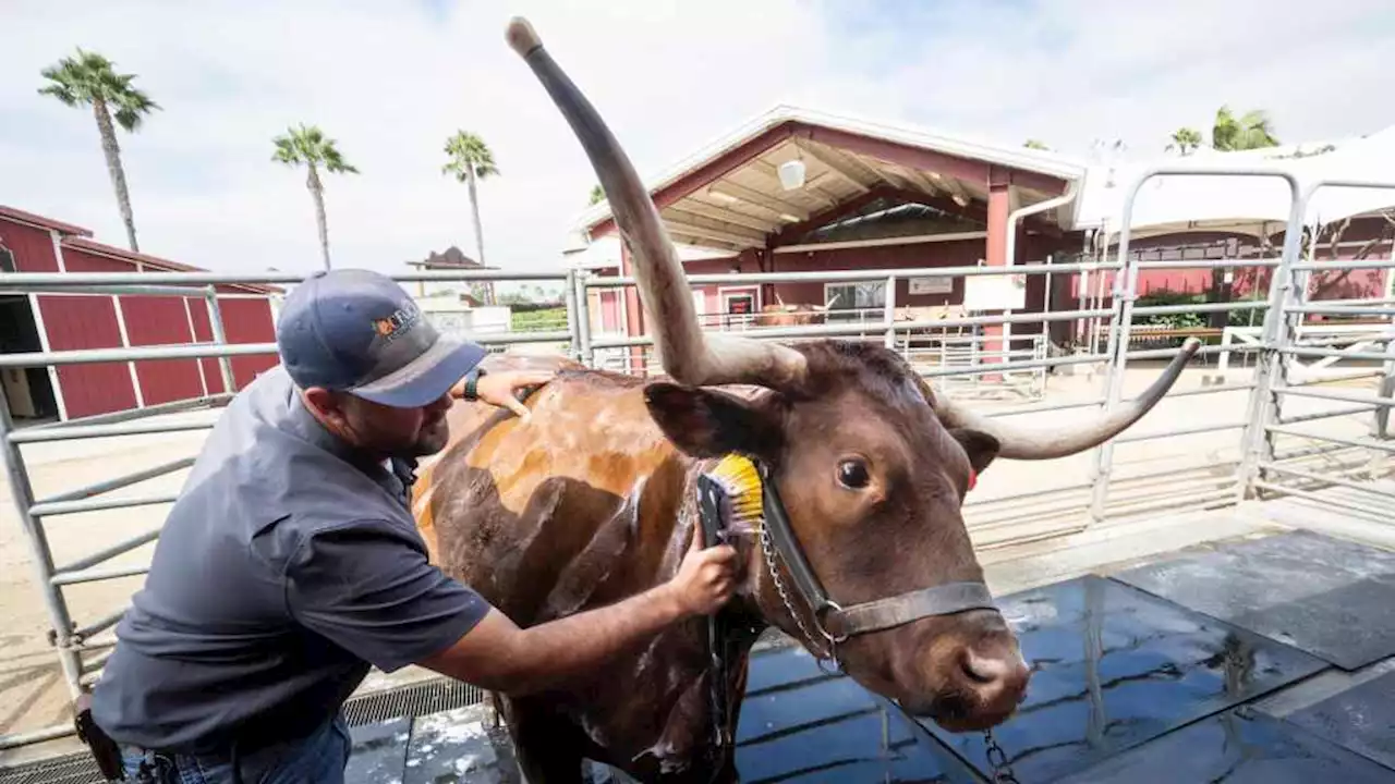 2023 OC Fair set to open with familiar favorites, new thrills